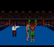 Muhammad Ali Boxing Screenthot 2